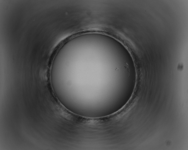 X0000101971166200807181057