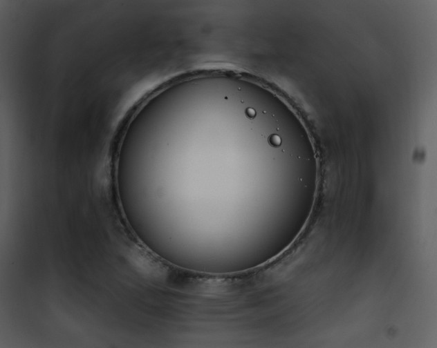 X0000101971167200807181057