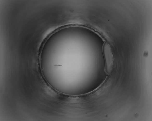 X0000101971168200807181057