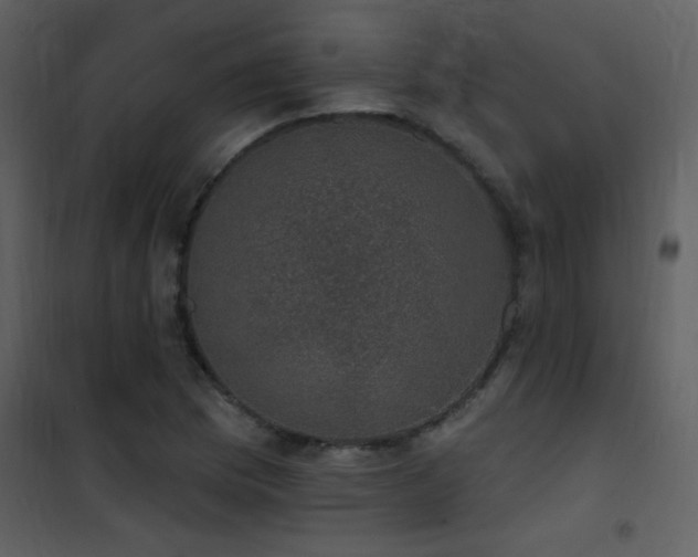 X0000101971169200807181057