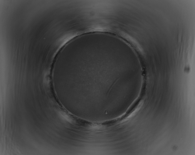 X0000101971170200807181057