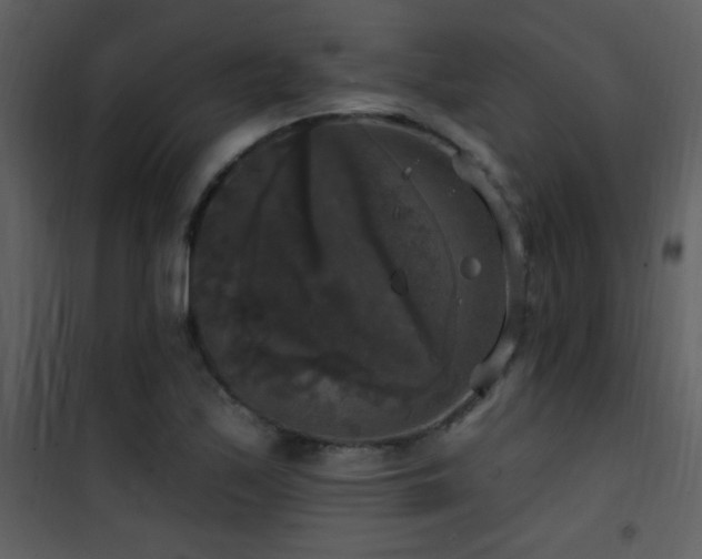 X0000101971171200807181057