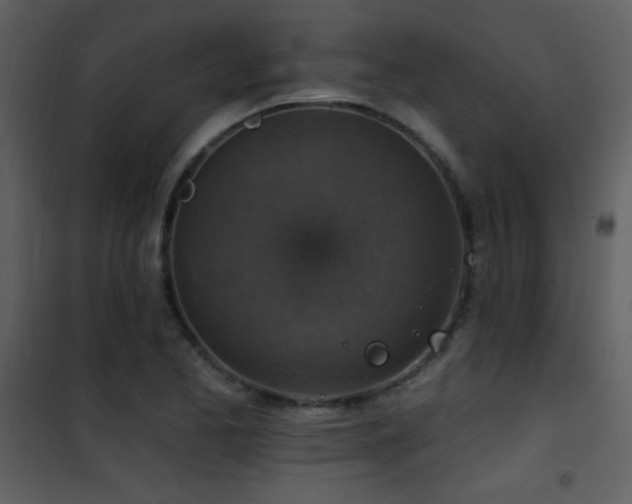 X0000101971173200807181057