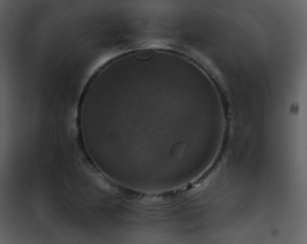 X0000101971174200807181057