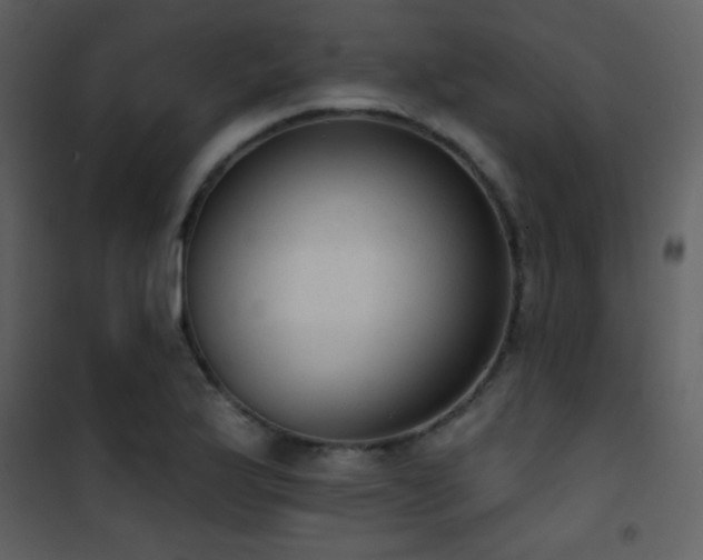 X0000101971175200807181057
