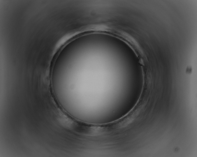 X0000101971176200807181057