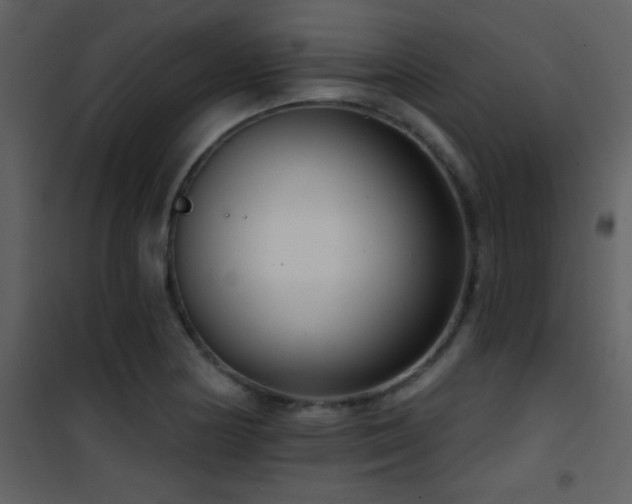 X0000101971178200807181057