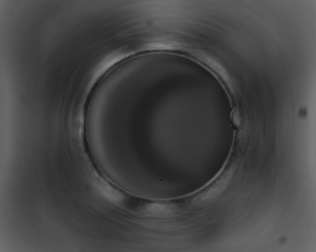 X0000101971179200807181057