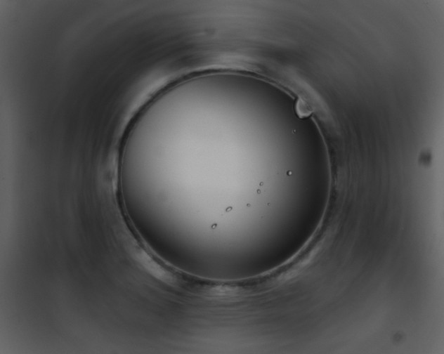 X0000101971180200807181057