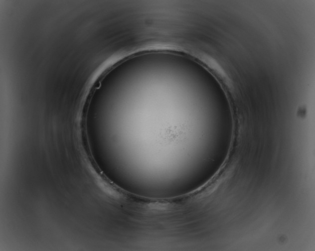X0000101971181200807181057