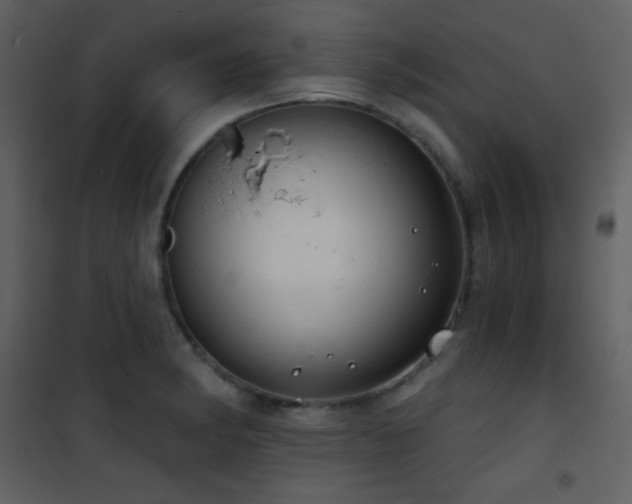 X0000101971182200807181057