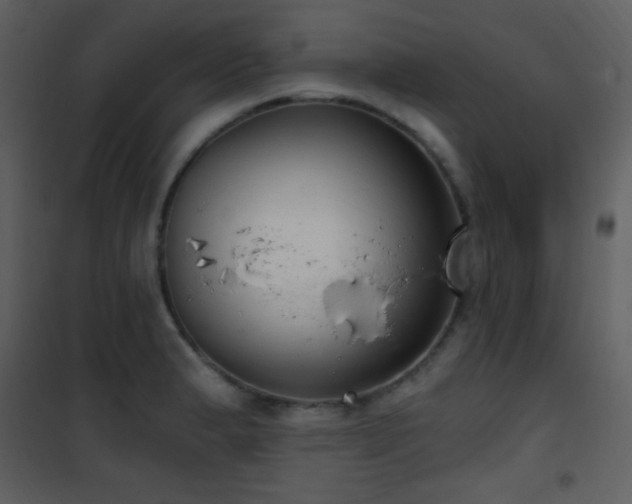 X0000101971183200807181057
