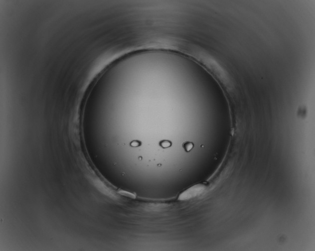 X0000101971184200807181057