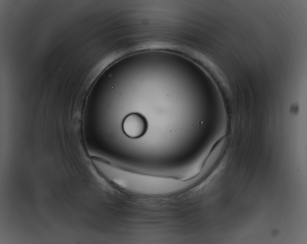 X0000101971185200807181057