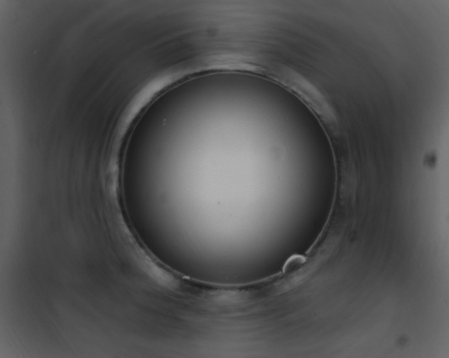 X0000101971188200807181057