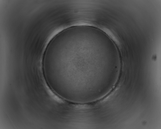 X0000101971189200807181057
