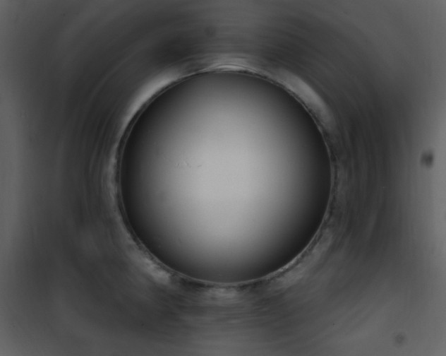 X0000101971190200807181057