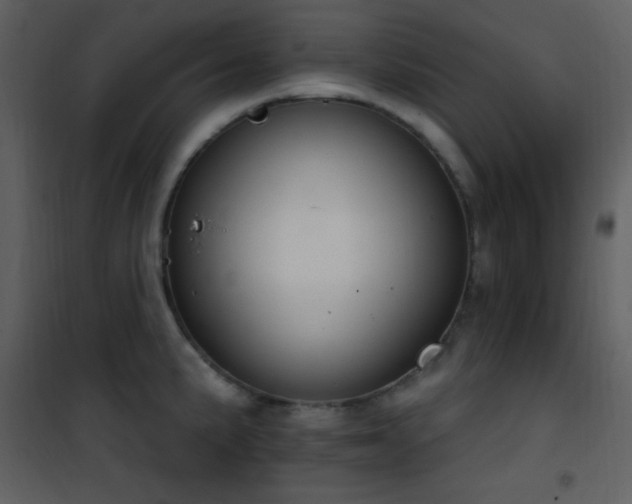 X0000101971191200807181057