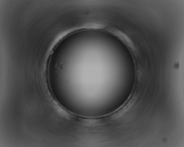 X0000101971192200807181057