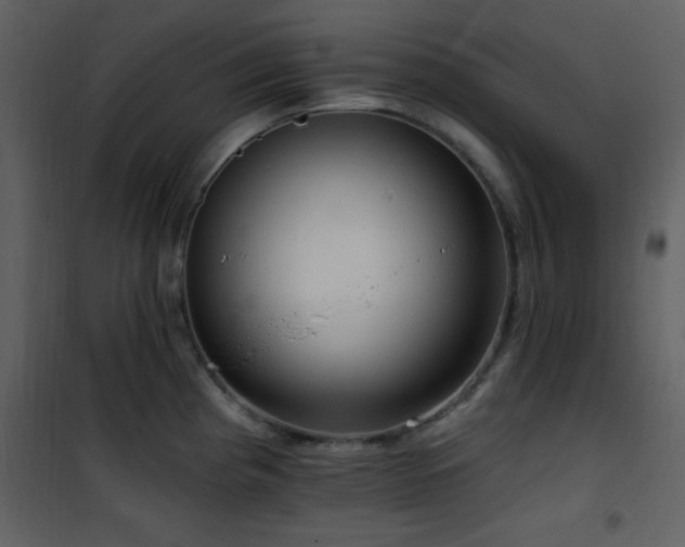 X0000101971193200807181057
