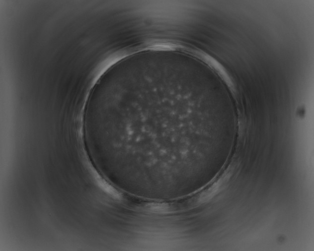 X0000101971194200807181057