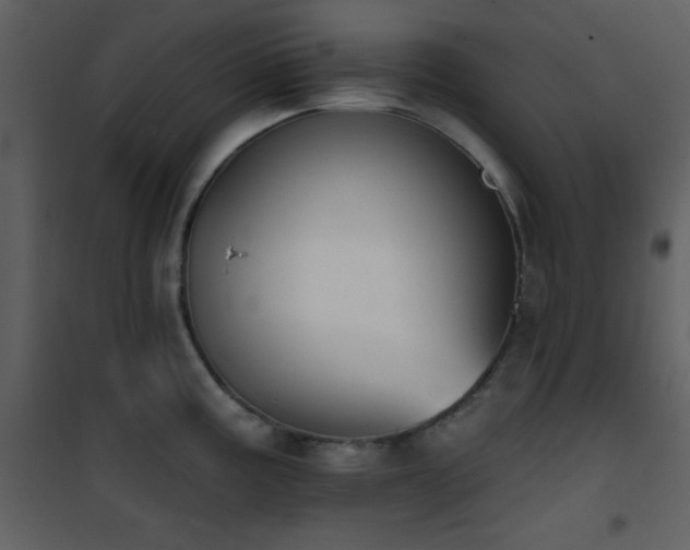 X0000101971195200807181057