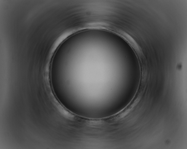 X0000101971196200807181057