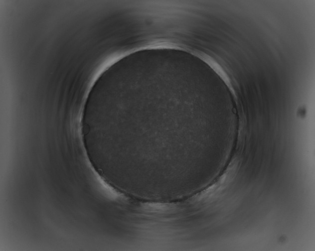 X0000101971197200807181057