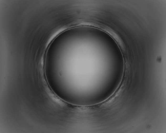 X0000101971198200807181057