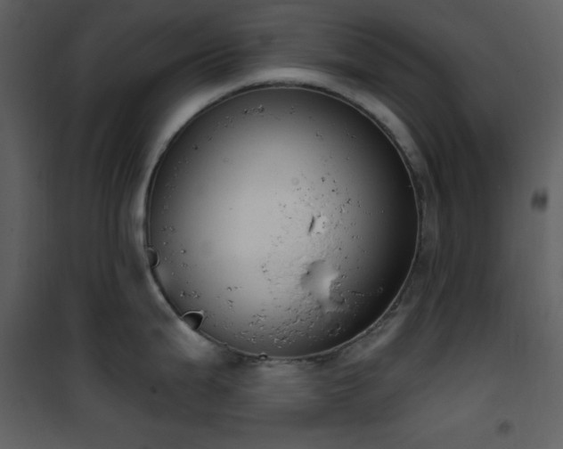 X0000101971199200807181057