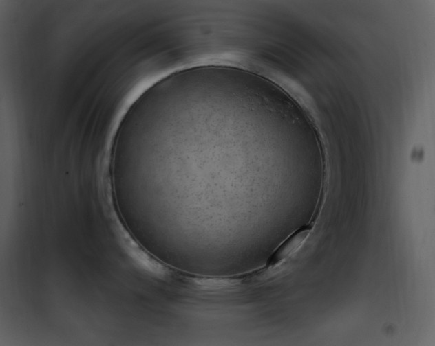 X0000101971200200807181057