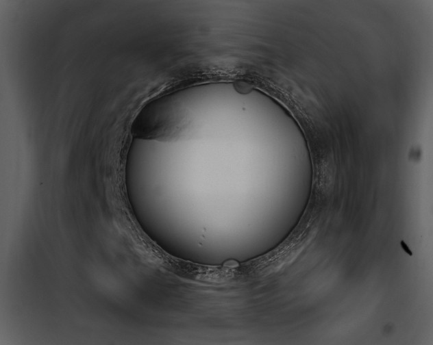 X0000101971201200807181056