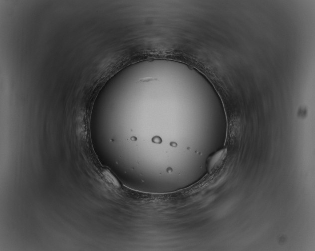 X0000101971202200807181056