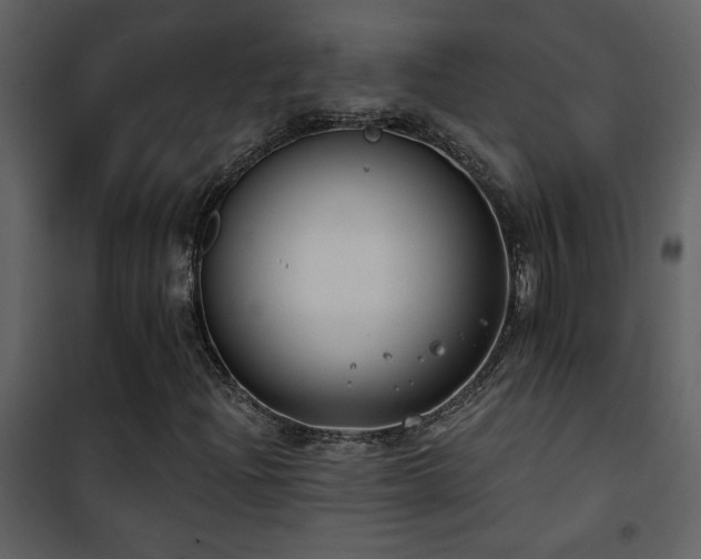 X0000101971204200807181056