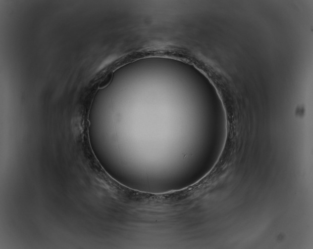 X0000101971206200807181056