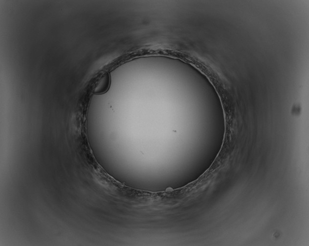 X0000101971207200807181056