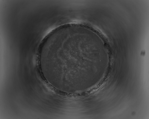 X0000101971208200807181056