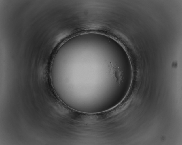 X0000101971210200807181056