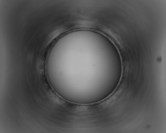 X0000101971211200807181056