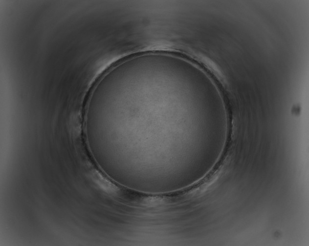 X0000101971212200807181056