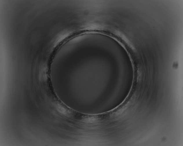 X0000101971213200807181056