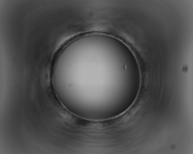 X0000101971214200807181056