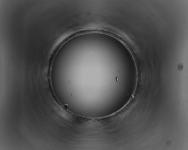 X0000101971216200807181056