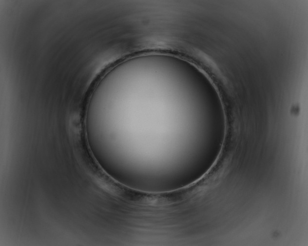 X0000101971218200807181056