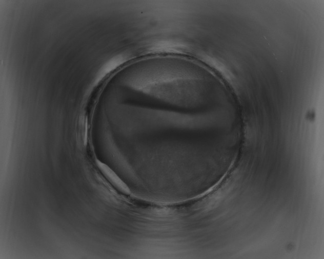 X0000101971219200807181056