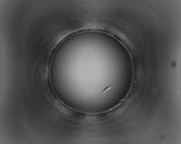 X0000101971220200807181056