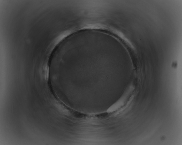 X0000101971221200807181056