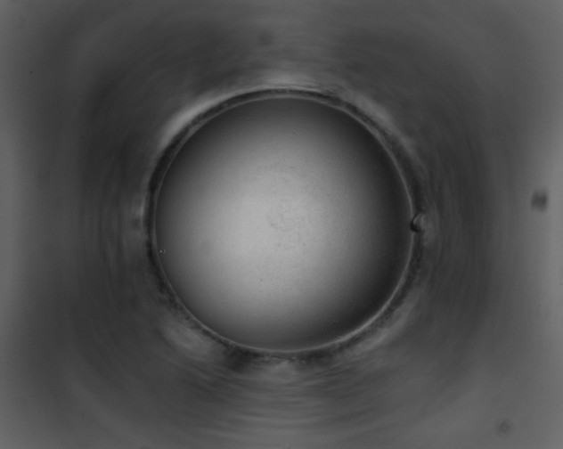 X0000101971222200807181056