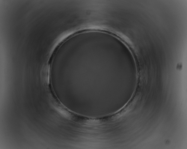 X0000101971223200807181056