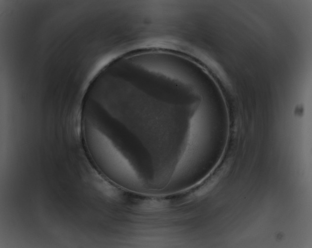 X0000101971224200807181056
